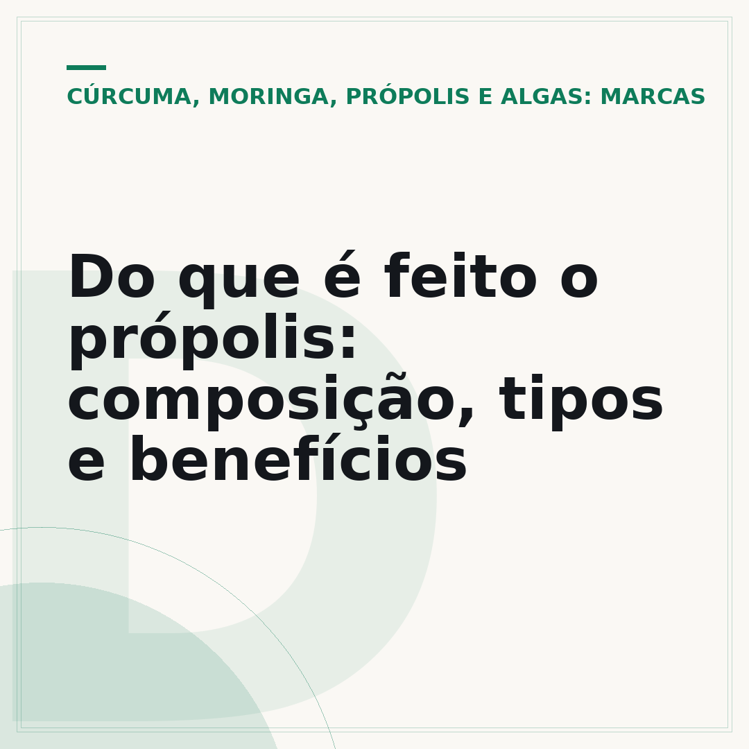 Do que é feito o própolis: composição, tipos e benefícios