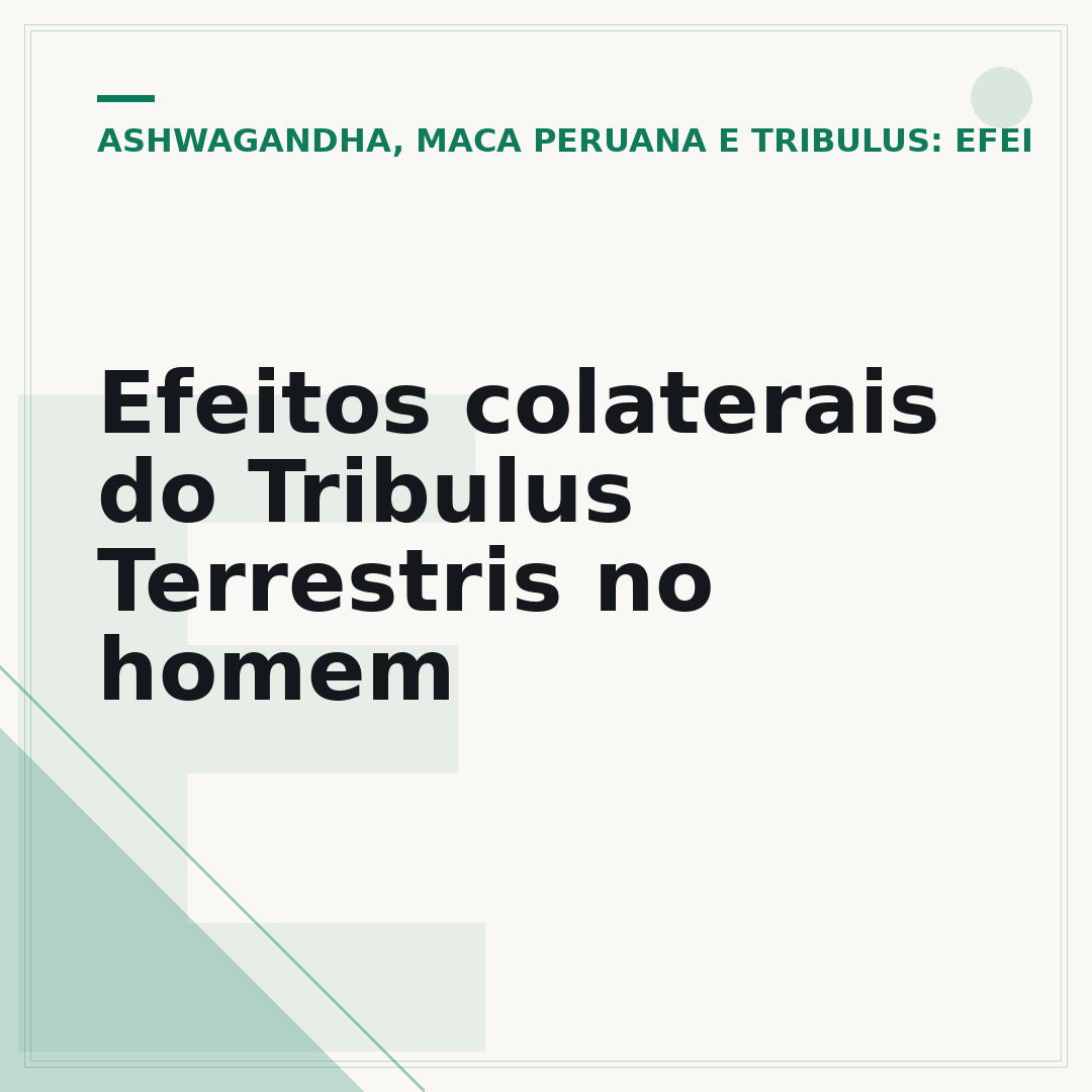 Efeitos colaterais do Tribulus Terrestris no homem