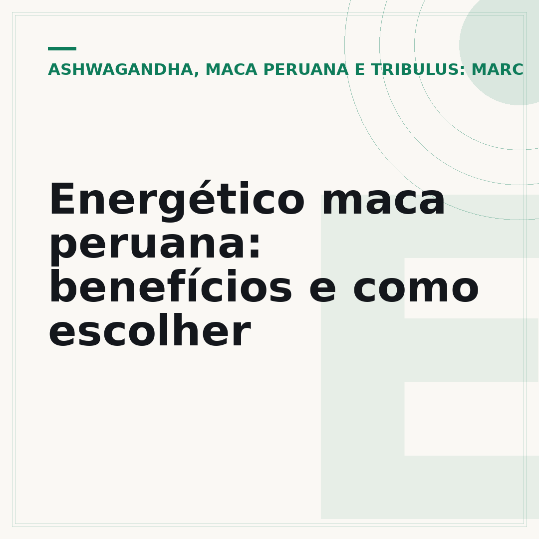 Energético maca peruana: benefícios e como escolher