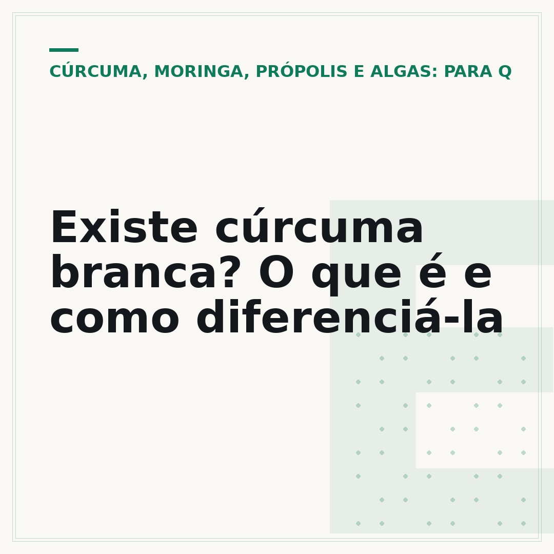 Existe cúrcuma branca? O que é e como diferenciá-la