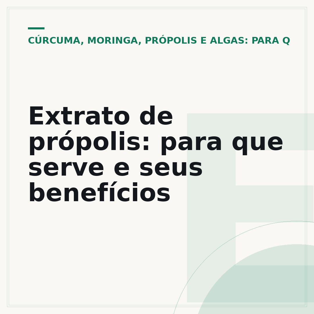 Extrato de própolis: para que serve e seus benefícios