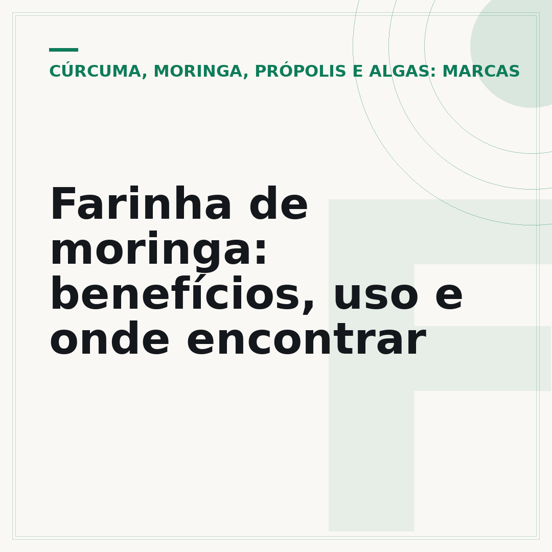 Farinha de moringa: benefícios, uso e onde encontrar