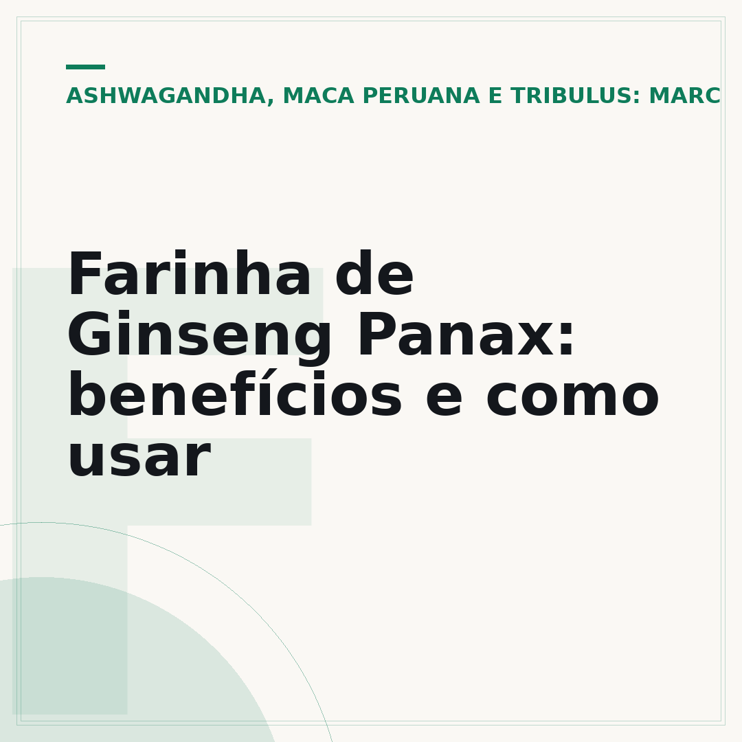 Farinha de Ginseng Panax: benefícios e como usar