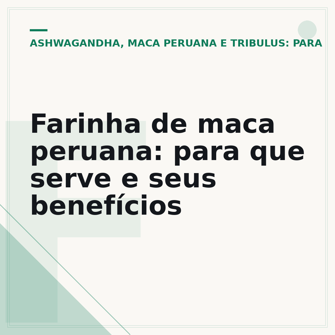 Farinha de maca peruana: para que serve e seus benefícios