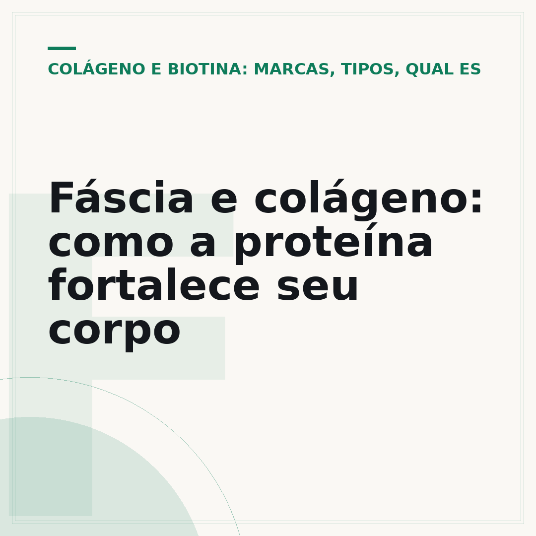Fáscia e colágeno: como a proteína fortalece seu corpo