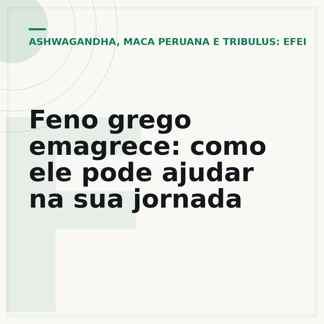 Feno grego emagrece: como ele pode ajudar na sua jornada