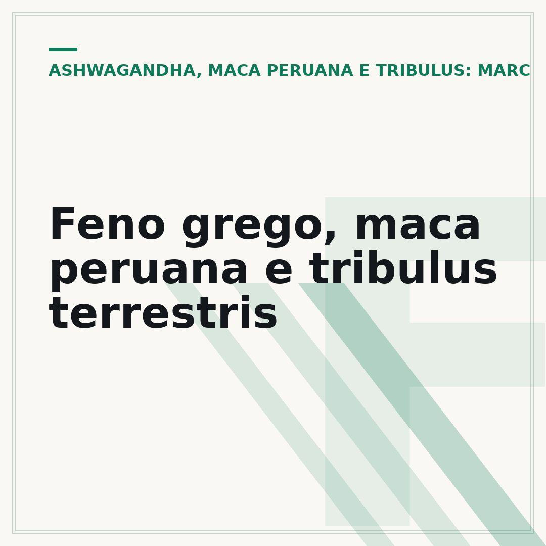 Feno grego, maca peruana e tribulus terrestris