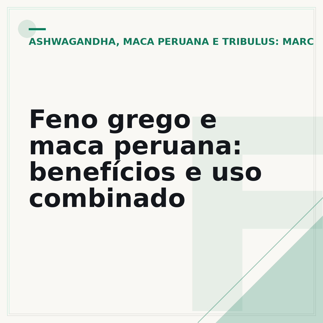 Feno grego e maca peruana: benefícios e uso combinado