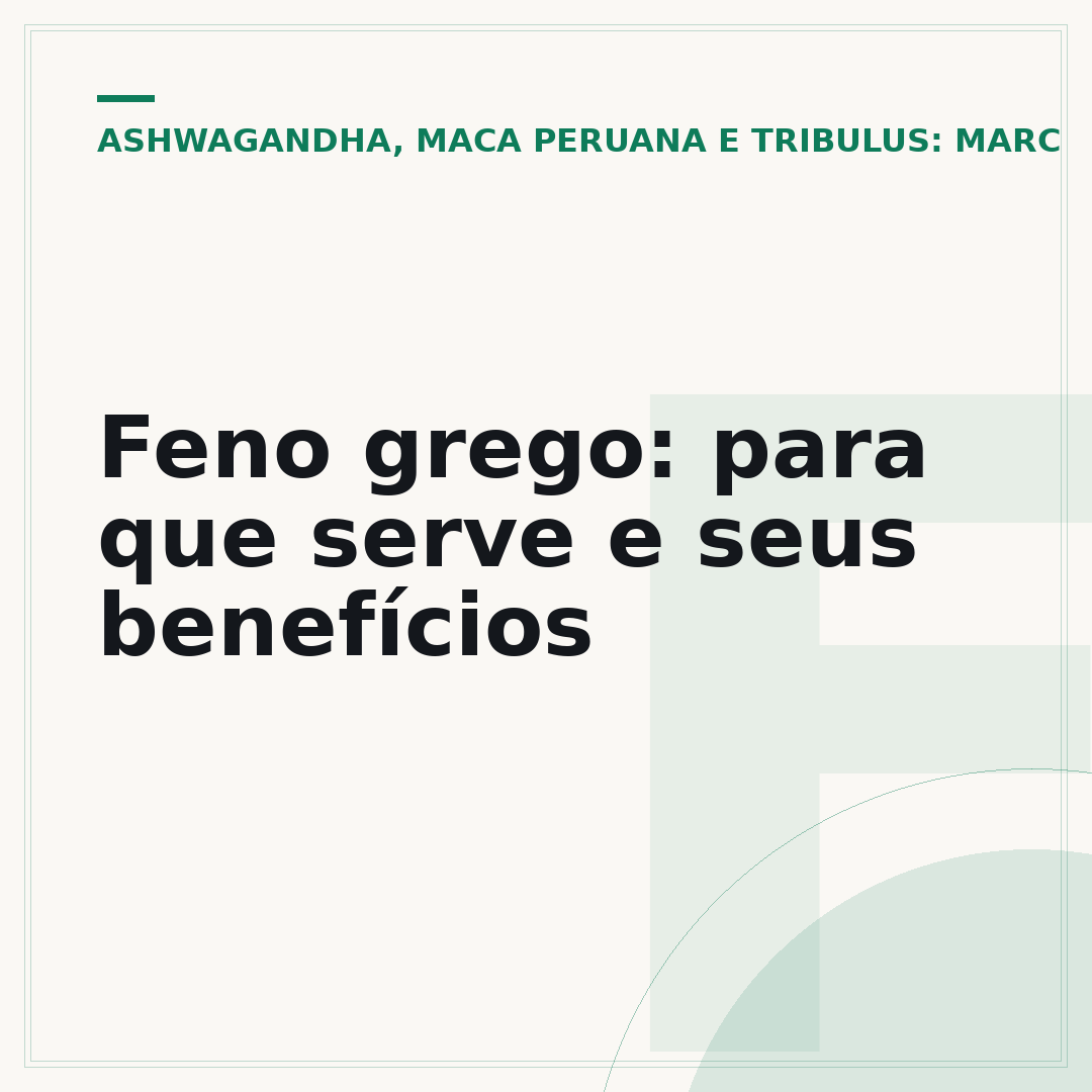 Feno grego: para que serve e seus benefícios