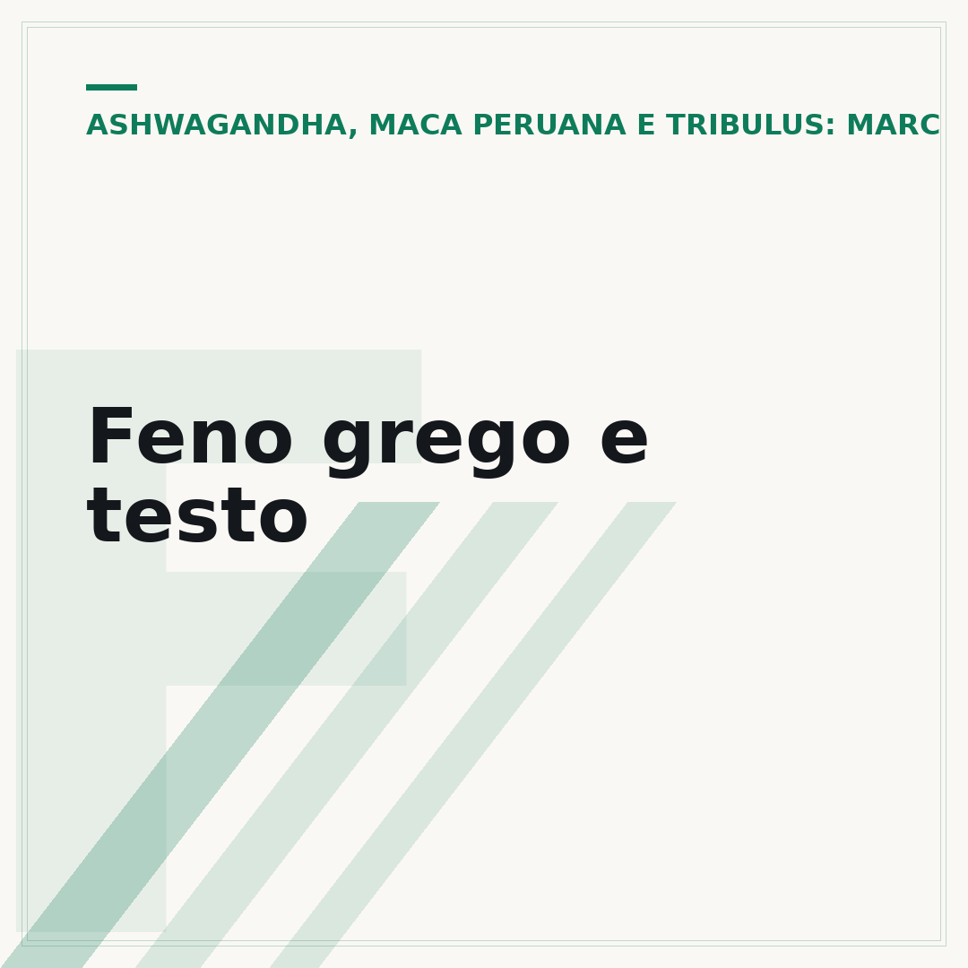 Feno grego e testo