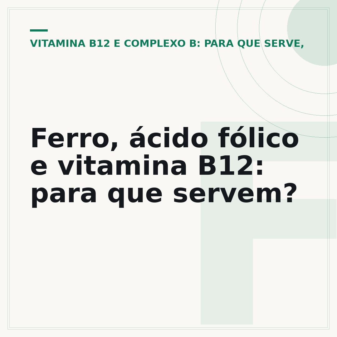 Ferro, ácido fólico e vitamina B12: para que servem?