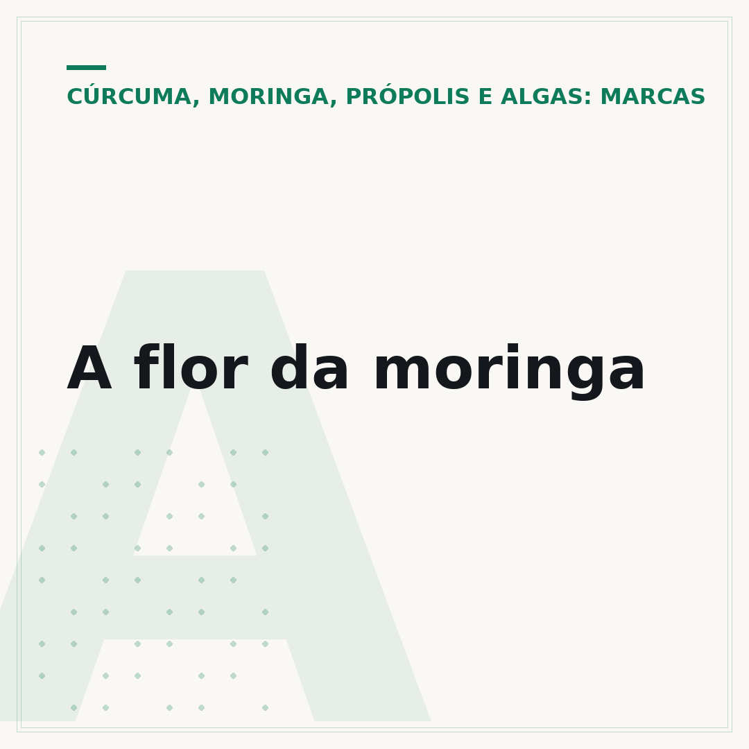 A flor da moringa
