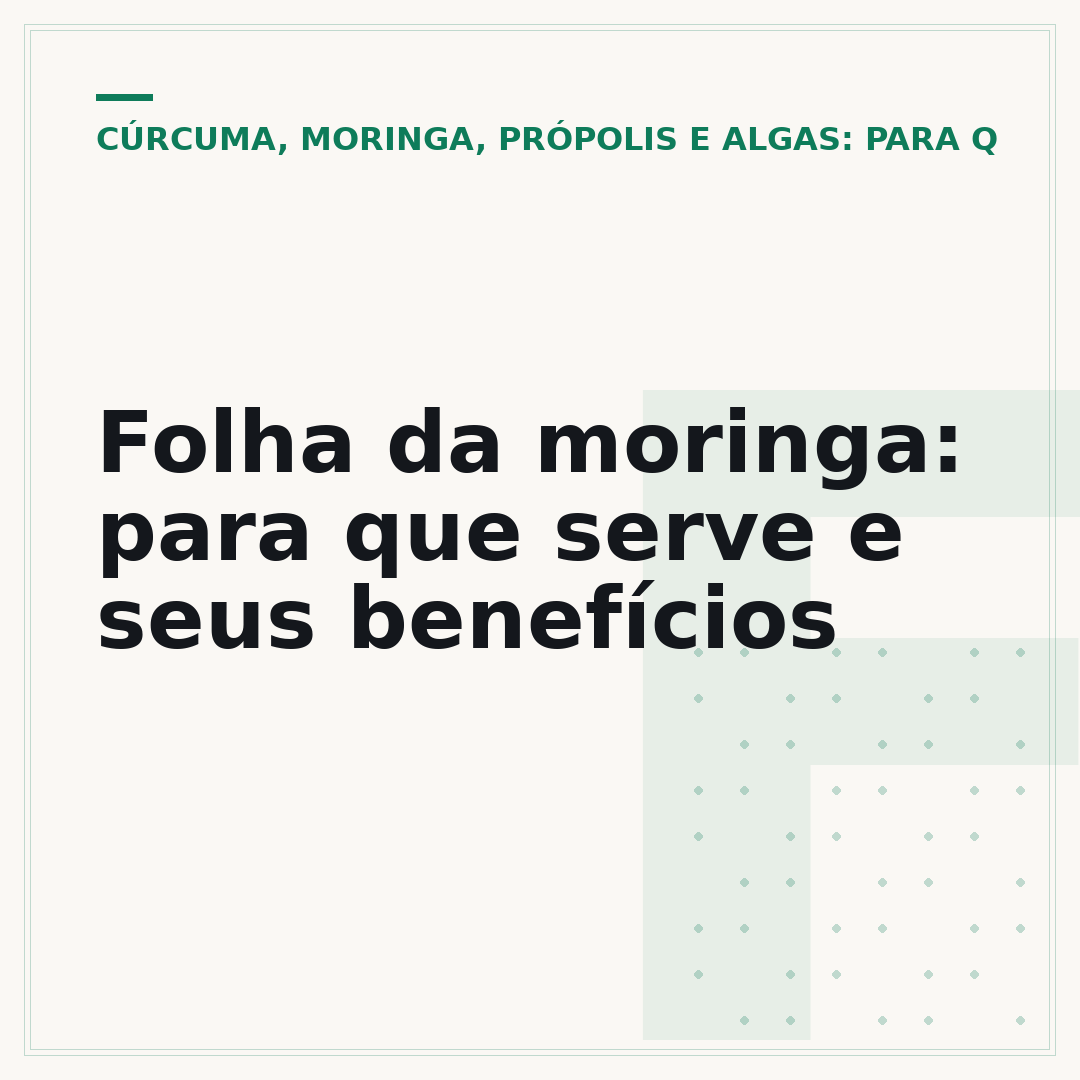Folha da moringa: para que serve e seus benefícios