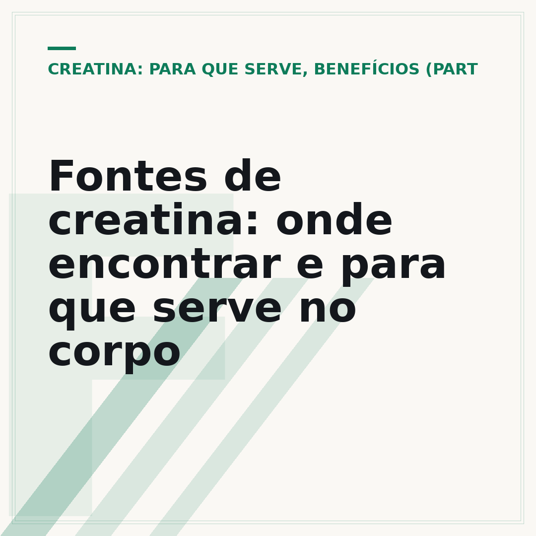 Fontes de creatina: onde encontrar e para que serve no corpo