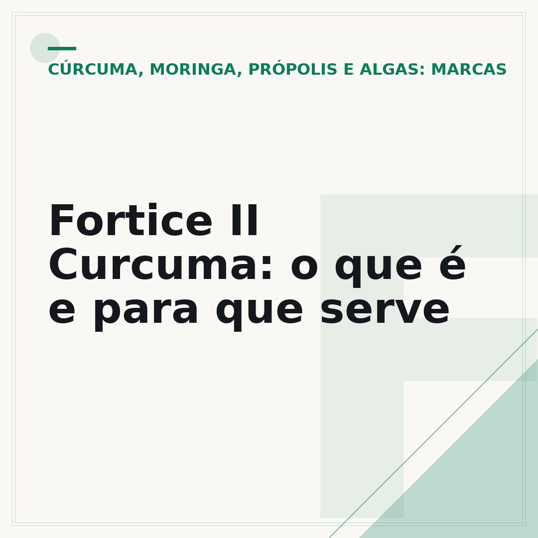 Fortice II Curcuma: o que é e para que serve