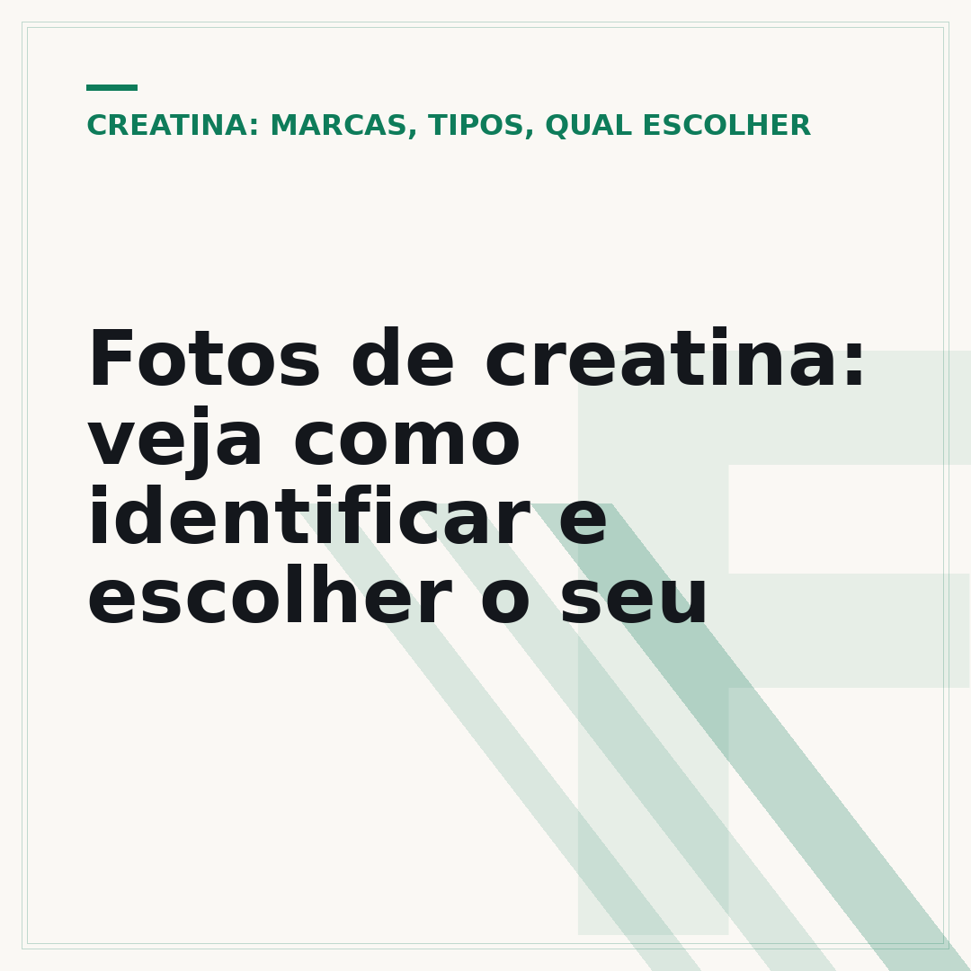 Fotos de creatina: veja como identificar e escolher o seu