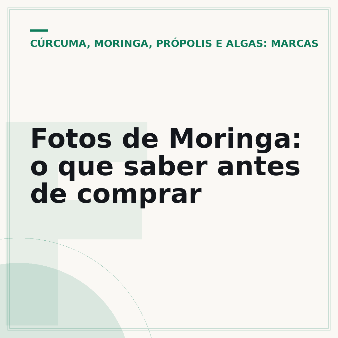 Fotos de Moringa: o que saber antes de comprar
