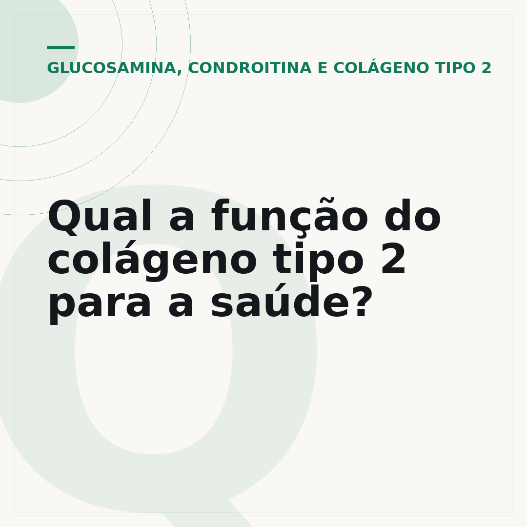 Qual a função do colágeno tipo 2 para a saúde?