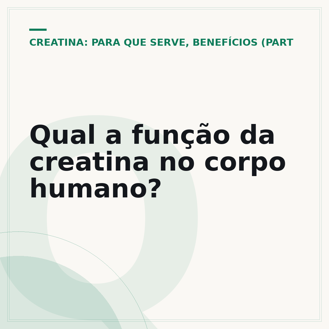Qual a função da creatina no corpo humano?