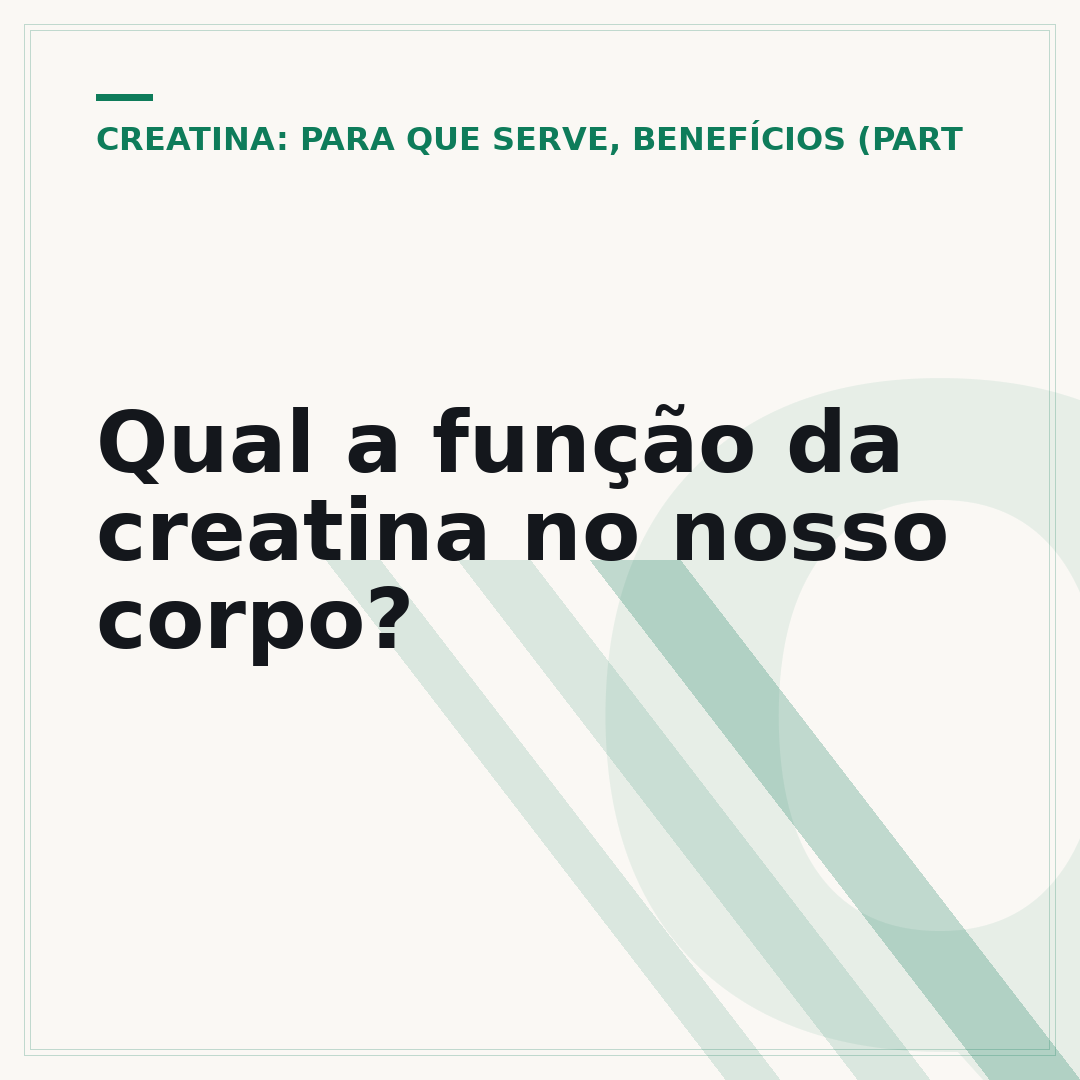Qual a função da creatina no nosso corpo?