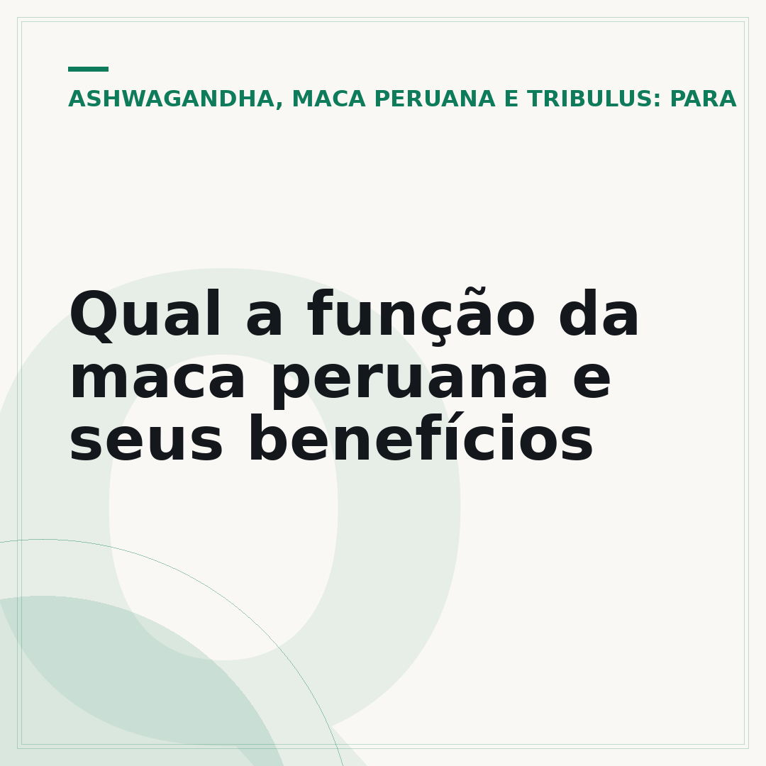 Qual a função da maca peruana e seus benefícios