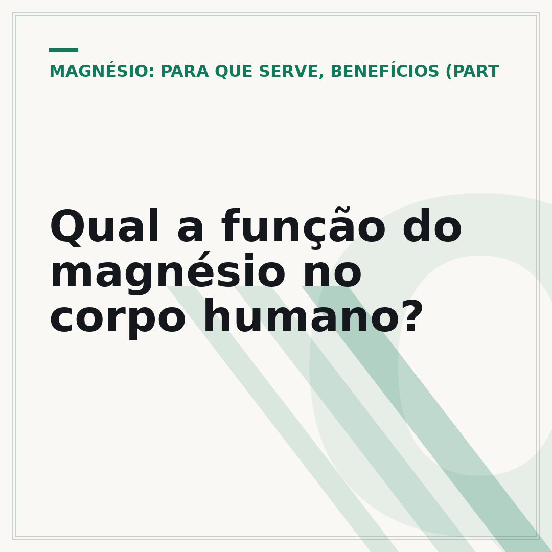 Qual a função do magnésio no corpo humano?