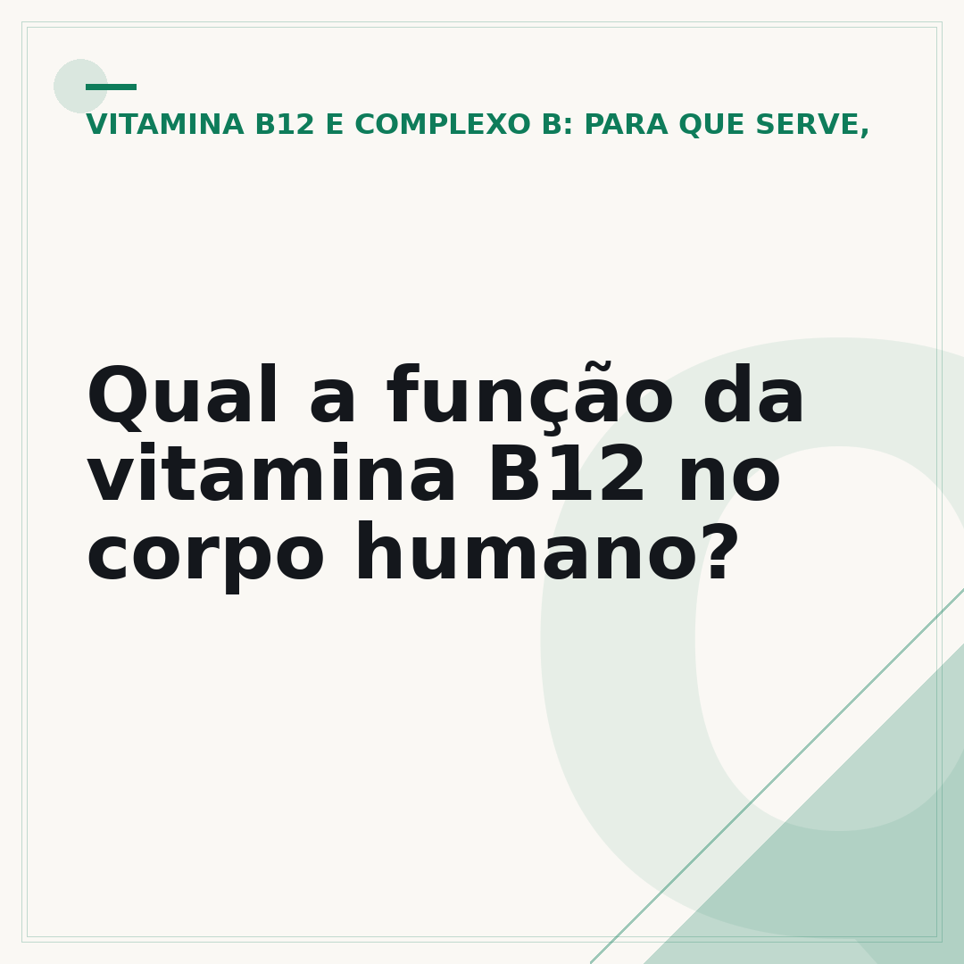 Qual a função da vitamina B12 no corpo humano?