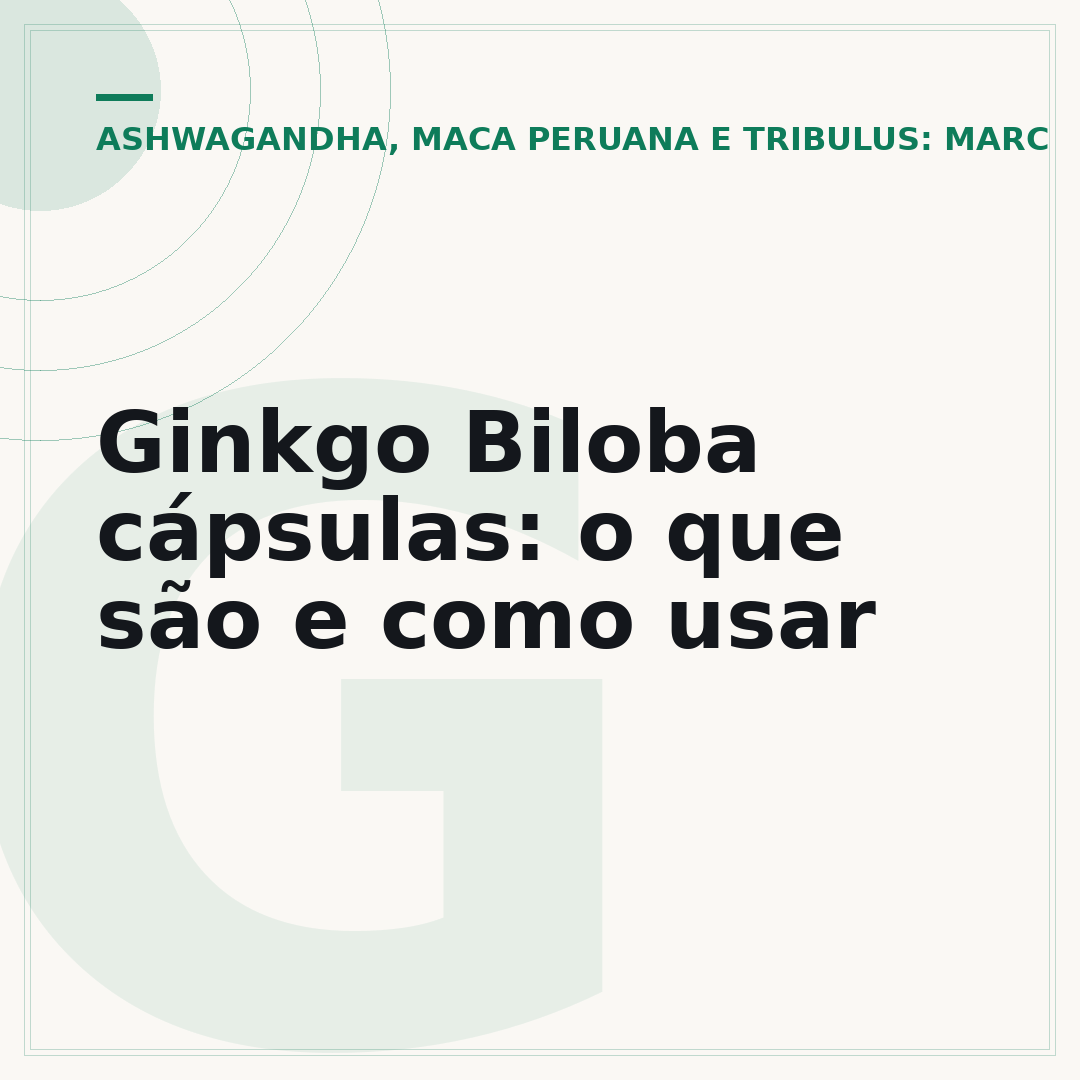 Ginkgo Biloba cápsulas: o que são e como usar