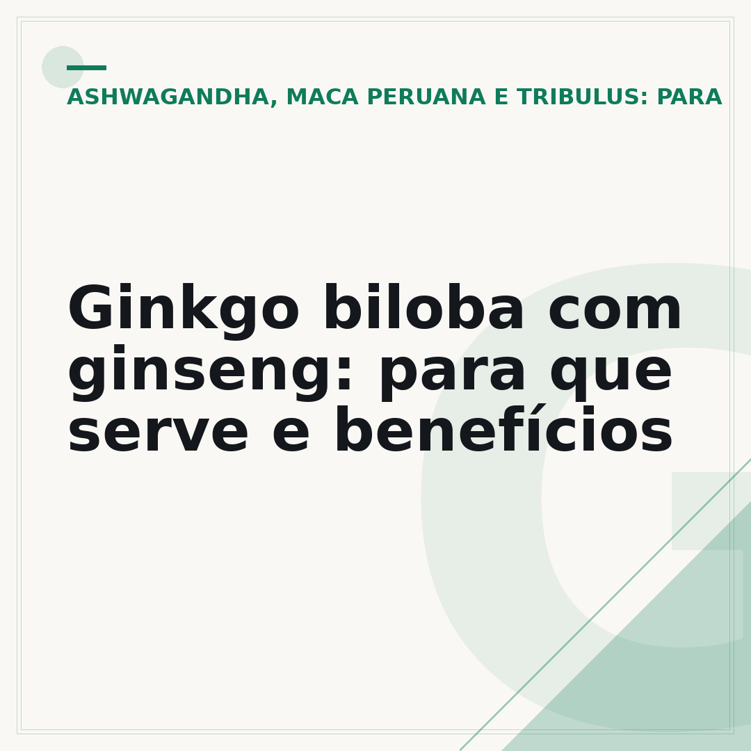 Ginkgo biloba com ginseng: para que serve e benefícios