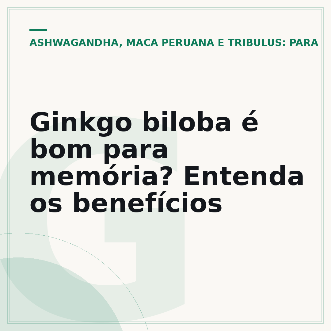 Ginkgo biloba é bom para memória? Entenda os benefícios