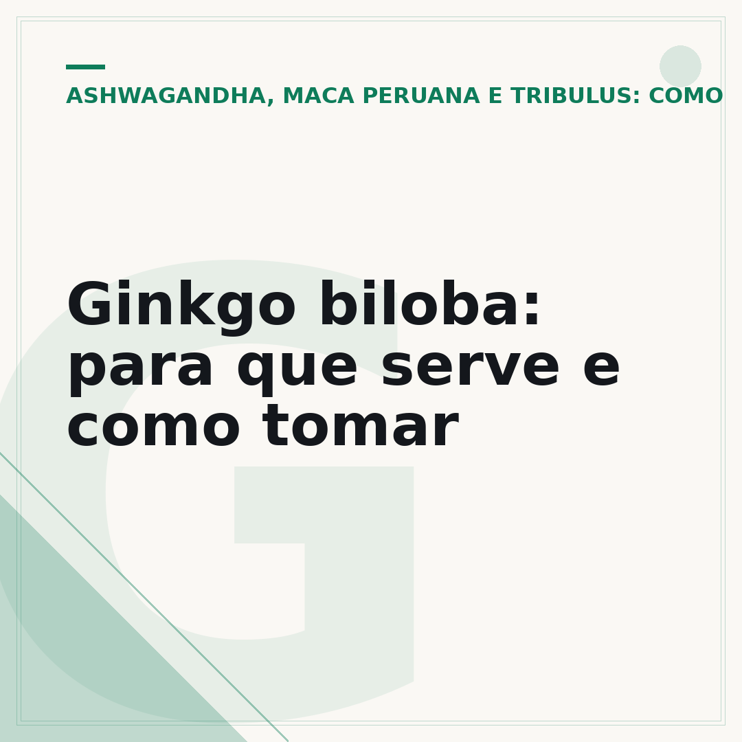 Ginkgo biloba: para que serve e como tomar
