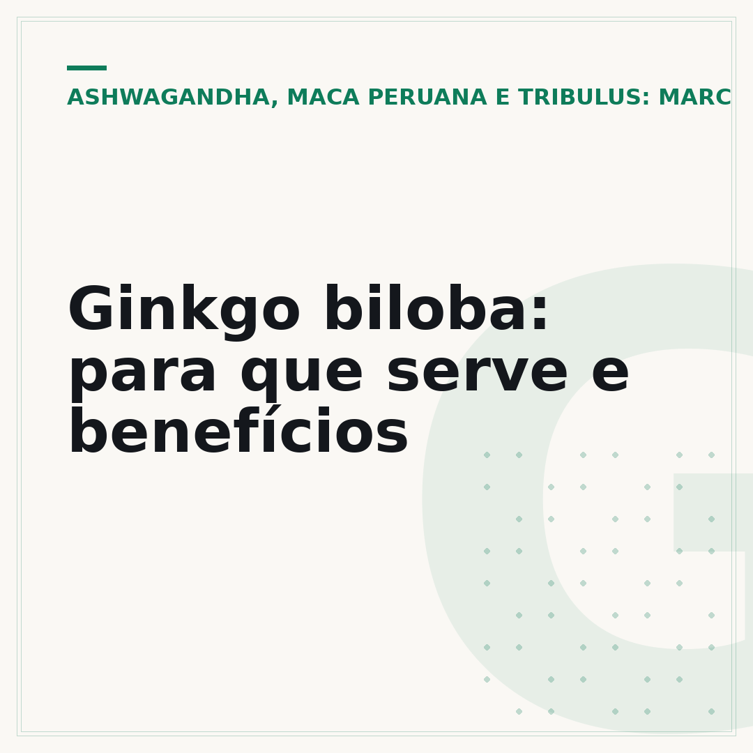 Ginkgo biloba: para que serve e benefícios