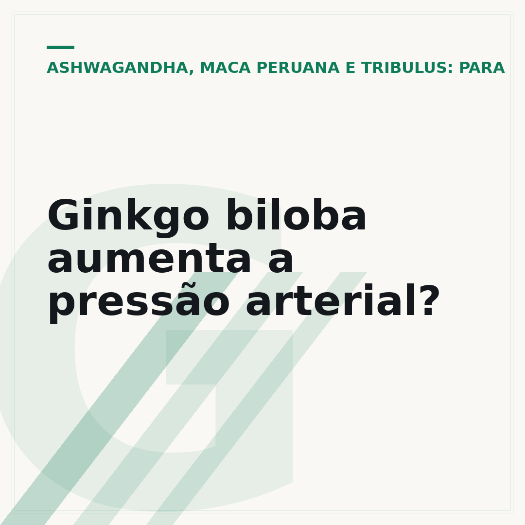 Ginkgo biloba aumenta a pressão arterial?