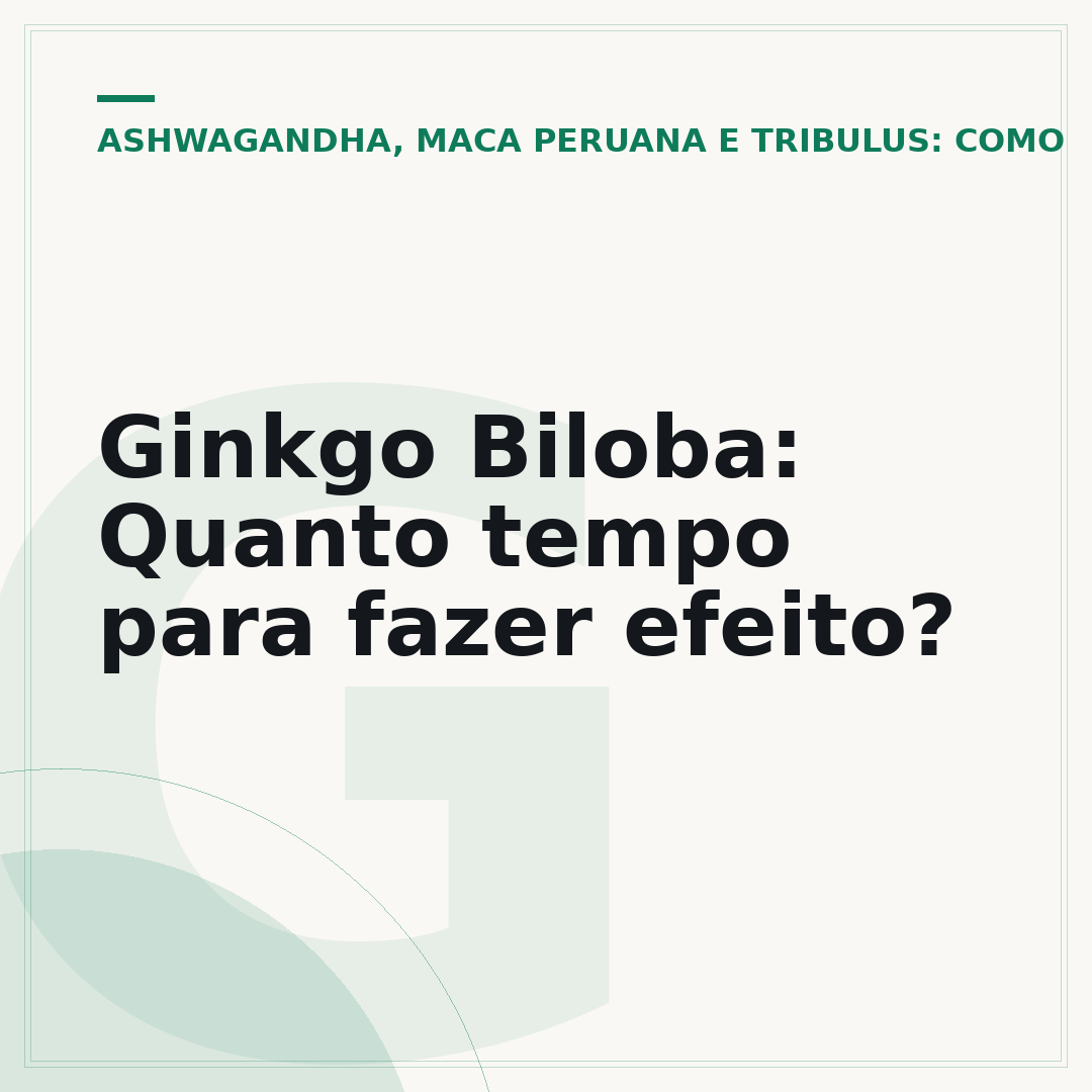Ginkgo Biloba: Quanto tempo para fazer efeito?