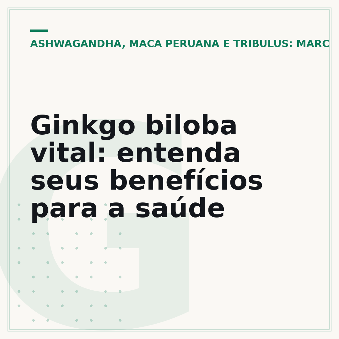 Ginkgo biloba vital: entenda seus benefícios para a saúde