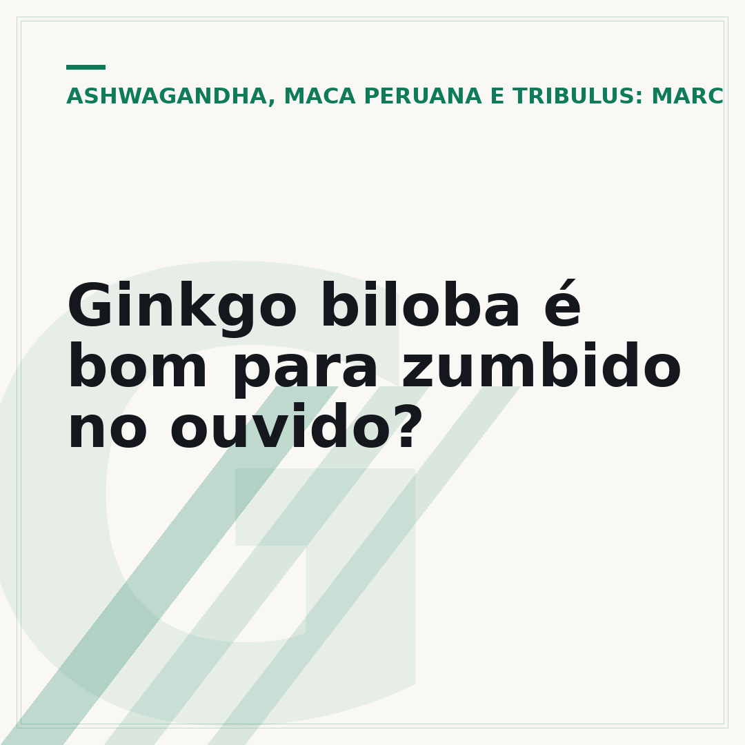 Ginkgo biloba é bom para zumbido no ouvido?