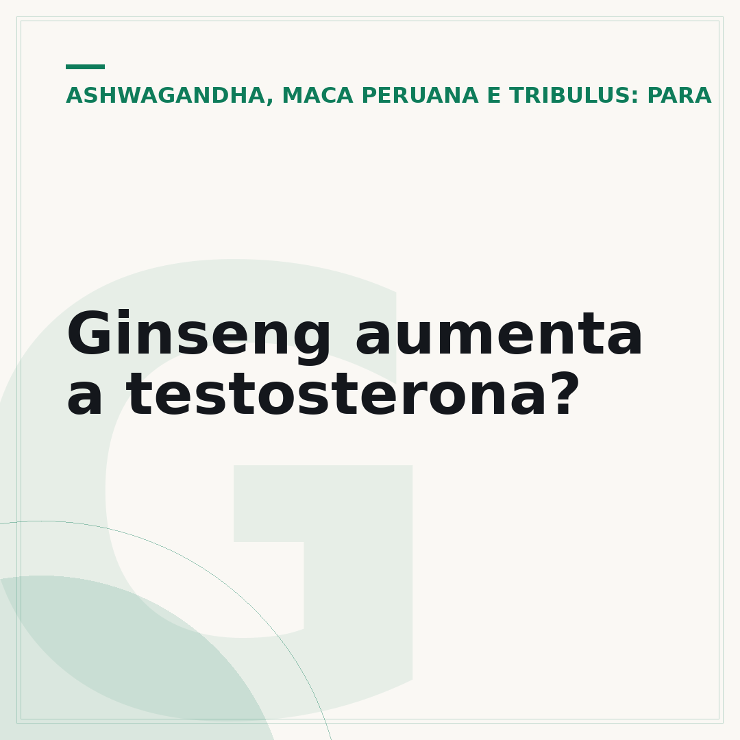 Ginseng aumenta a testosterona?