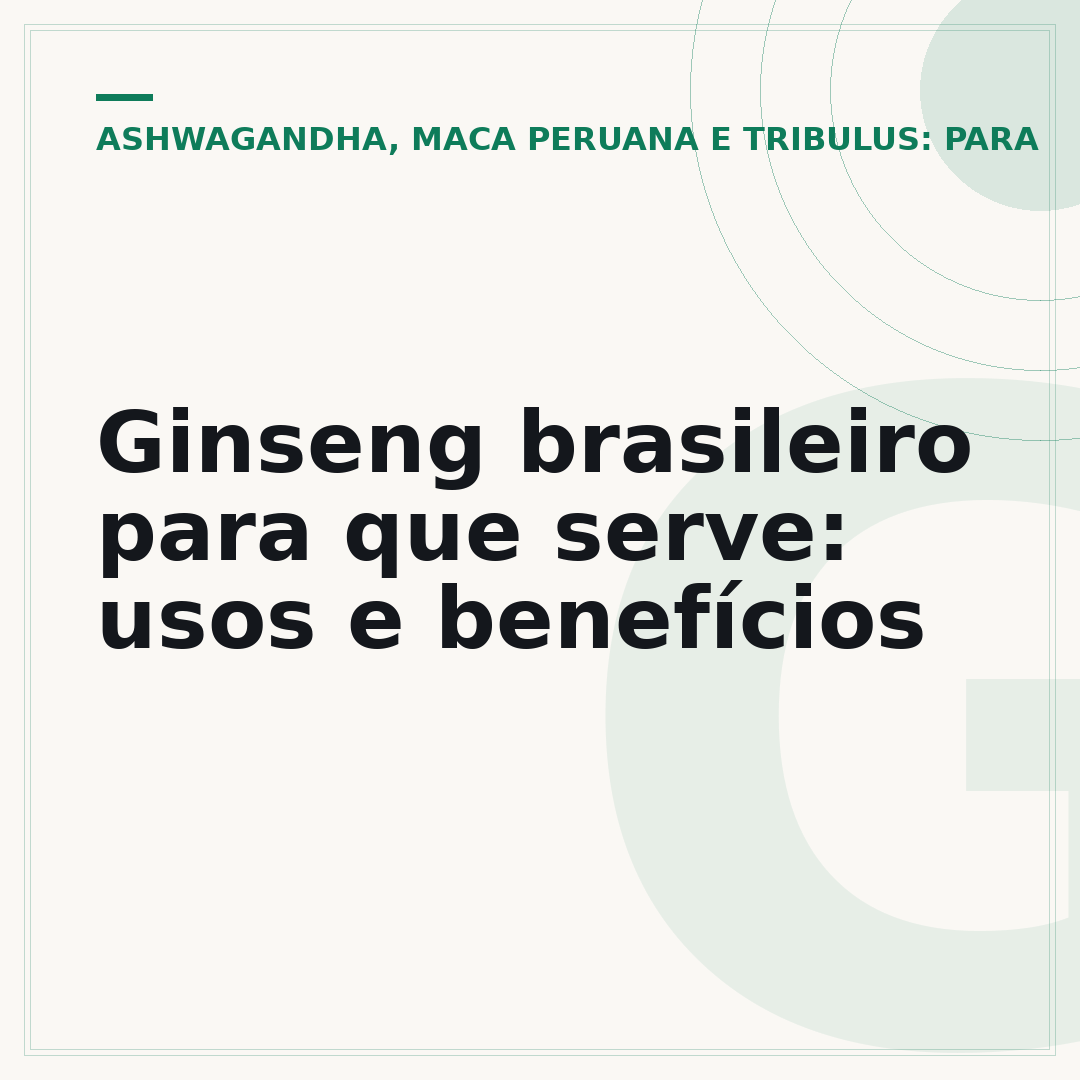 Ginseng brasileiro para que serve: usos e benefícios