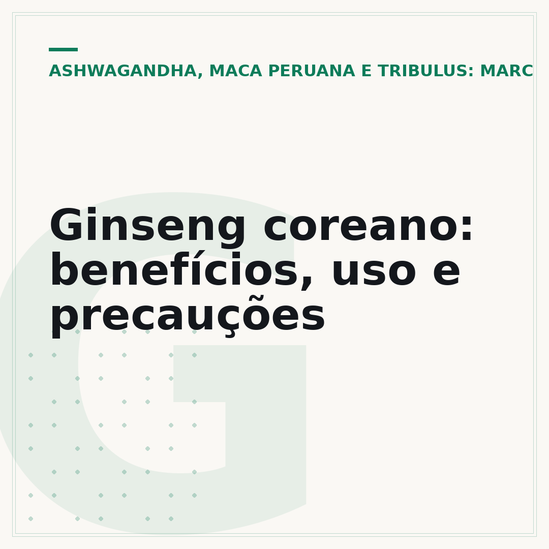 Ginseng coreano: benefícios, uso e precauções