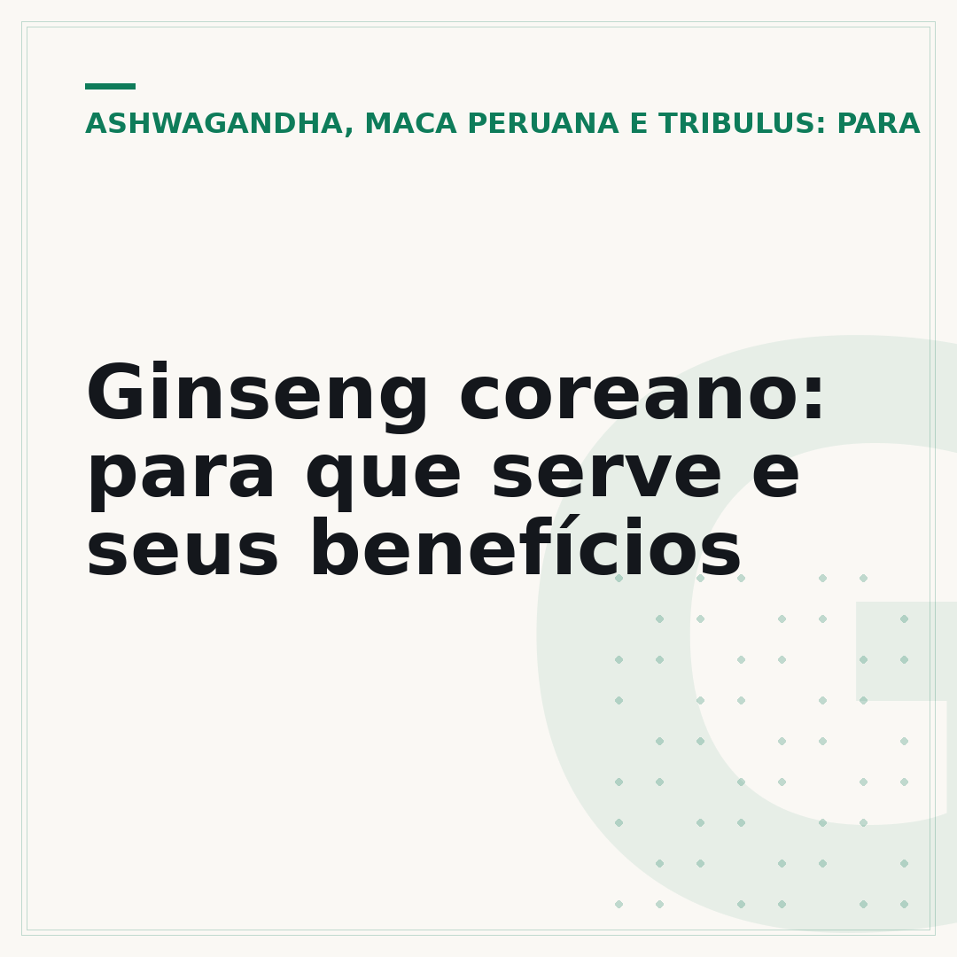 Ginseng coreano: para que serve e seus benefícios