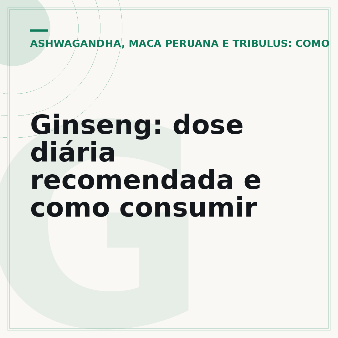 Ginseng: dose diária recomendada e como consumir