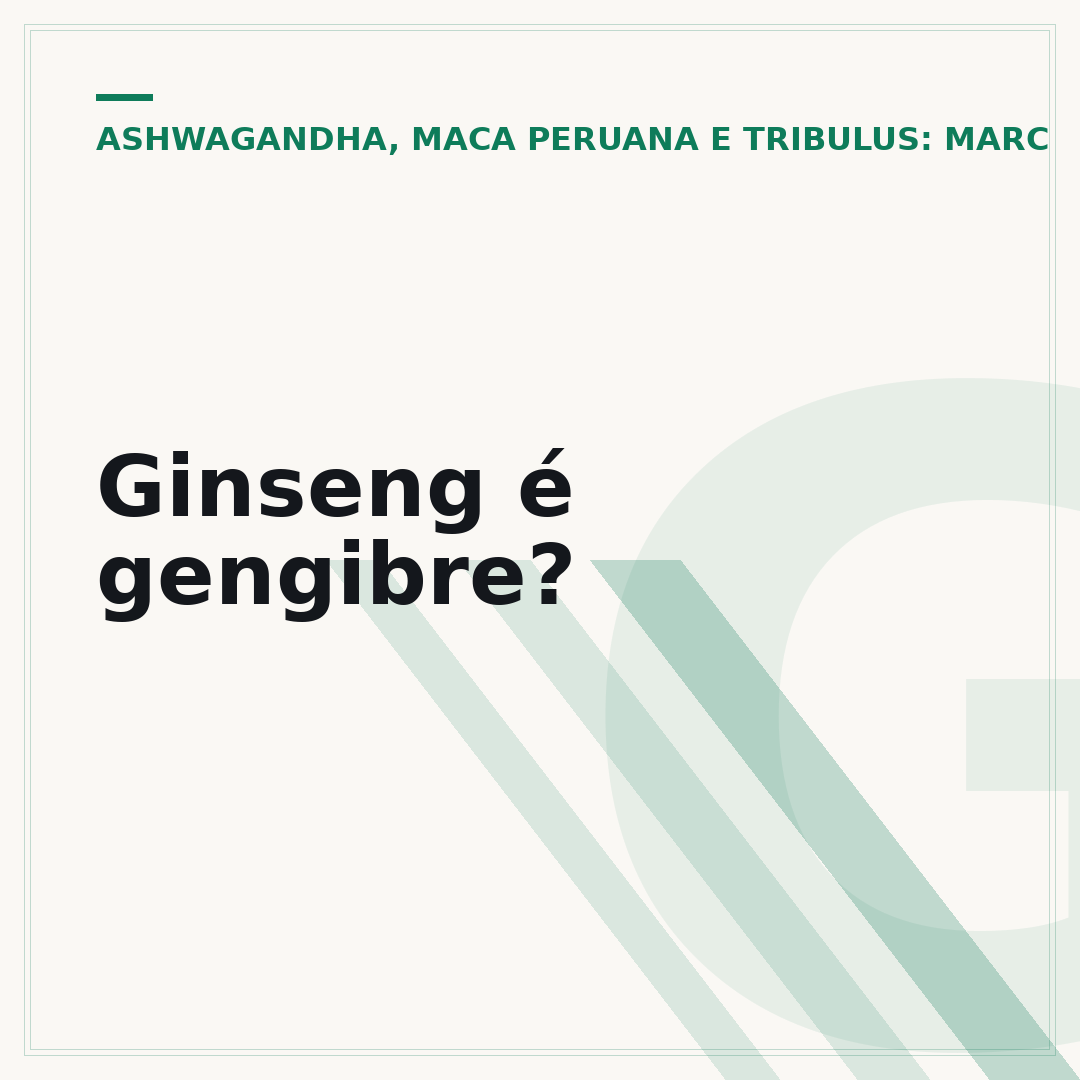 Ginseng é gengibre?