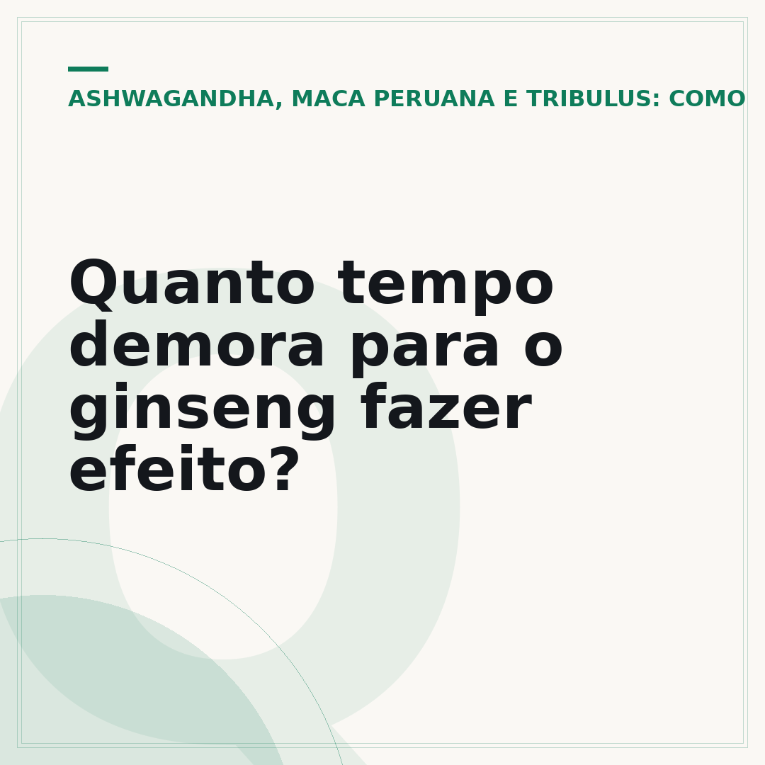 Quanto tempo demora para o ginseng fazer efeito?