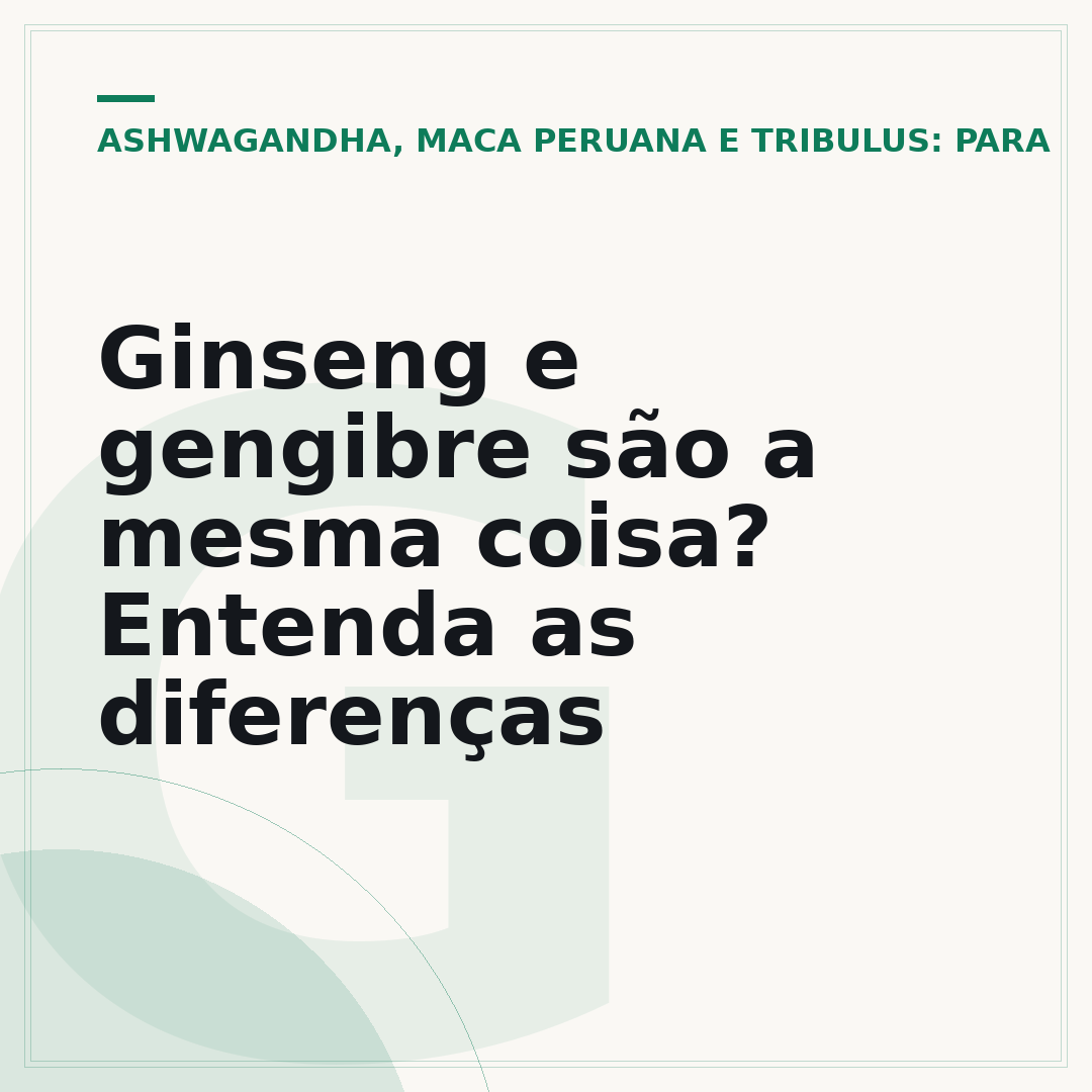 Ginseng e gengibre são a mesma coisa? Entenda as diferenças