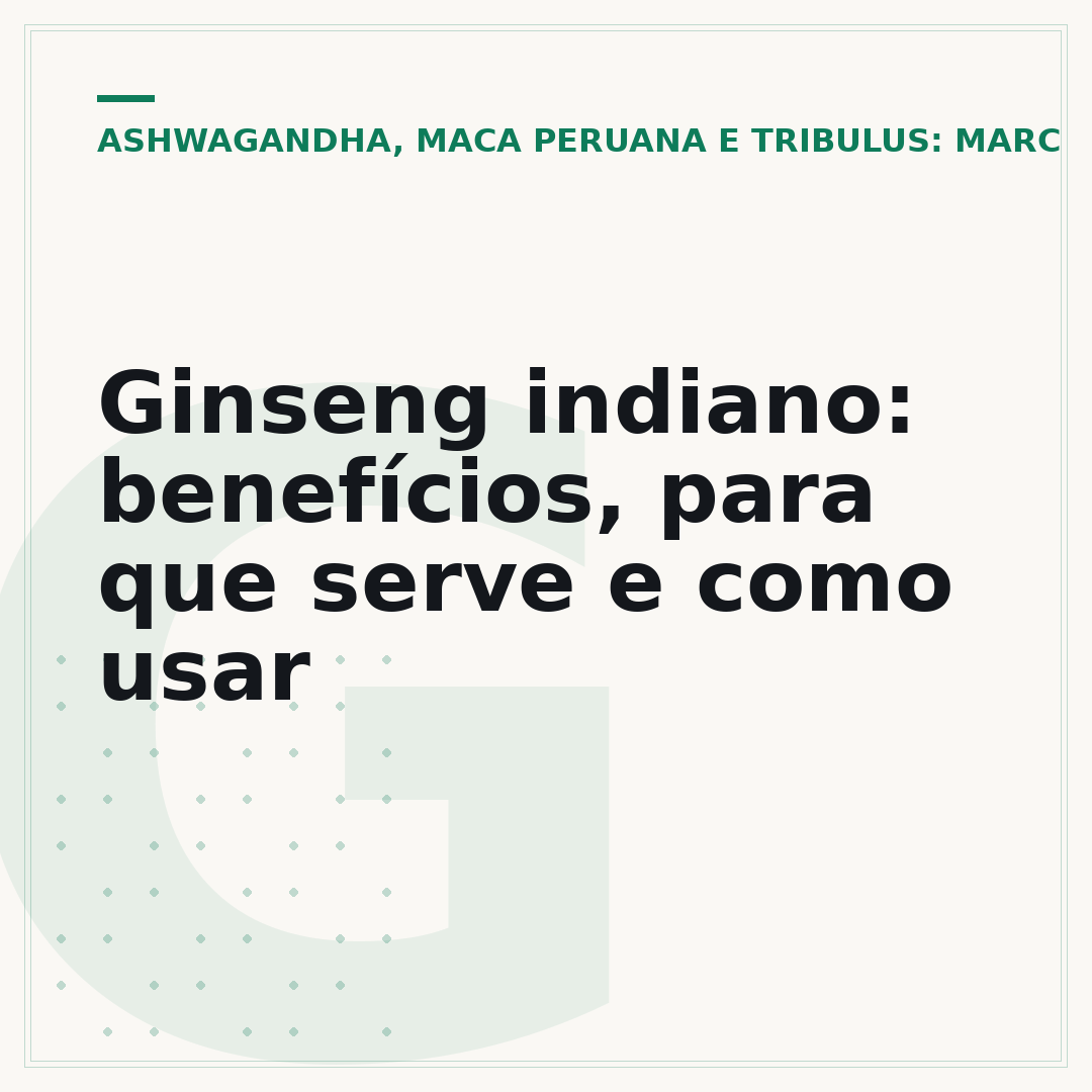 Ginseng indiano: benefícios, para que serve e como usar