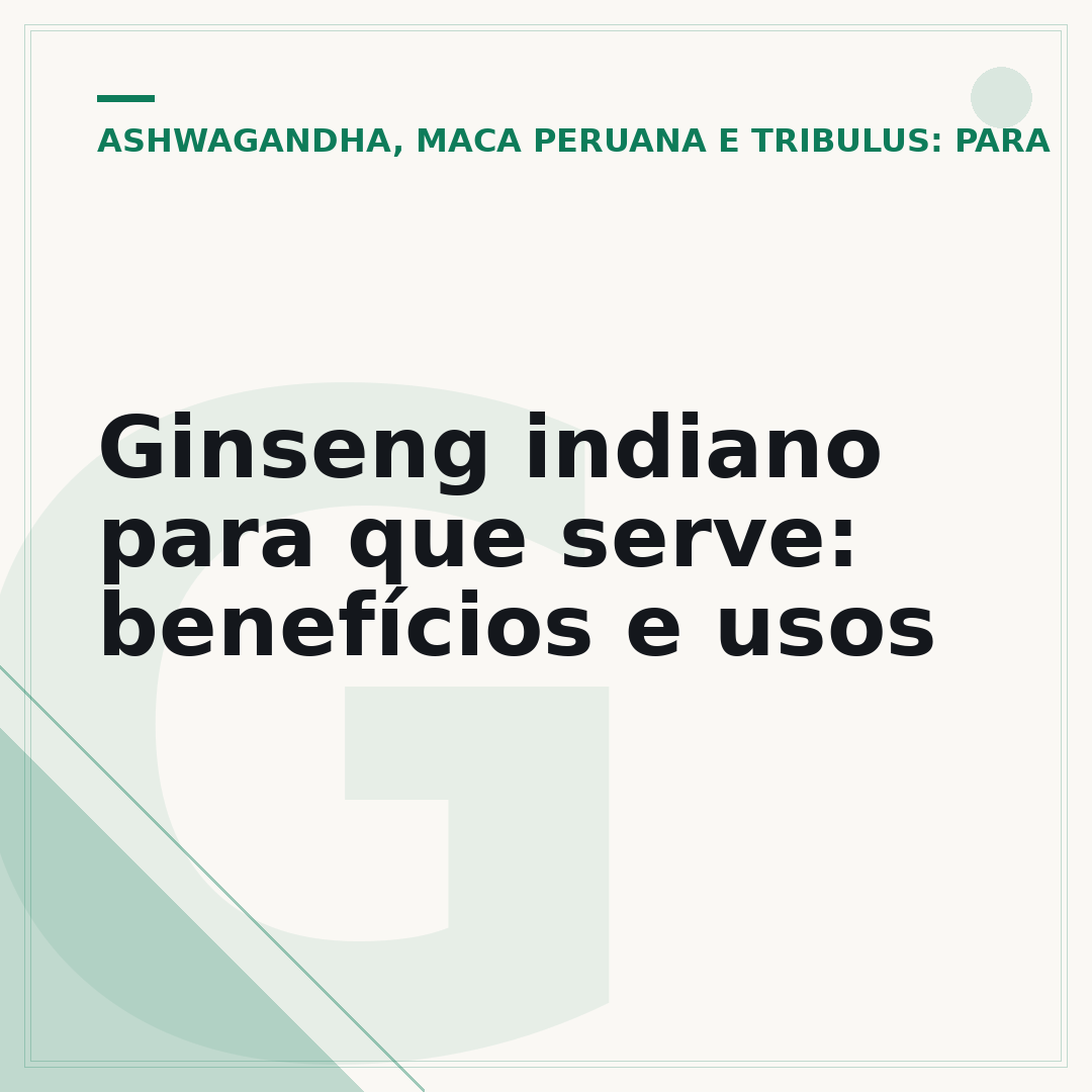 Ginseng indiano para que serve: benefícios e usos
