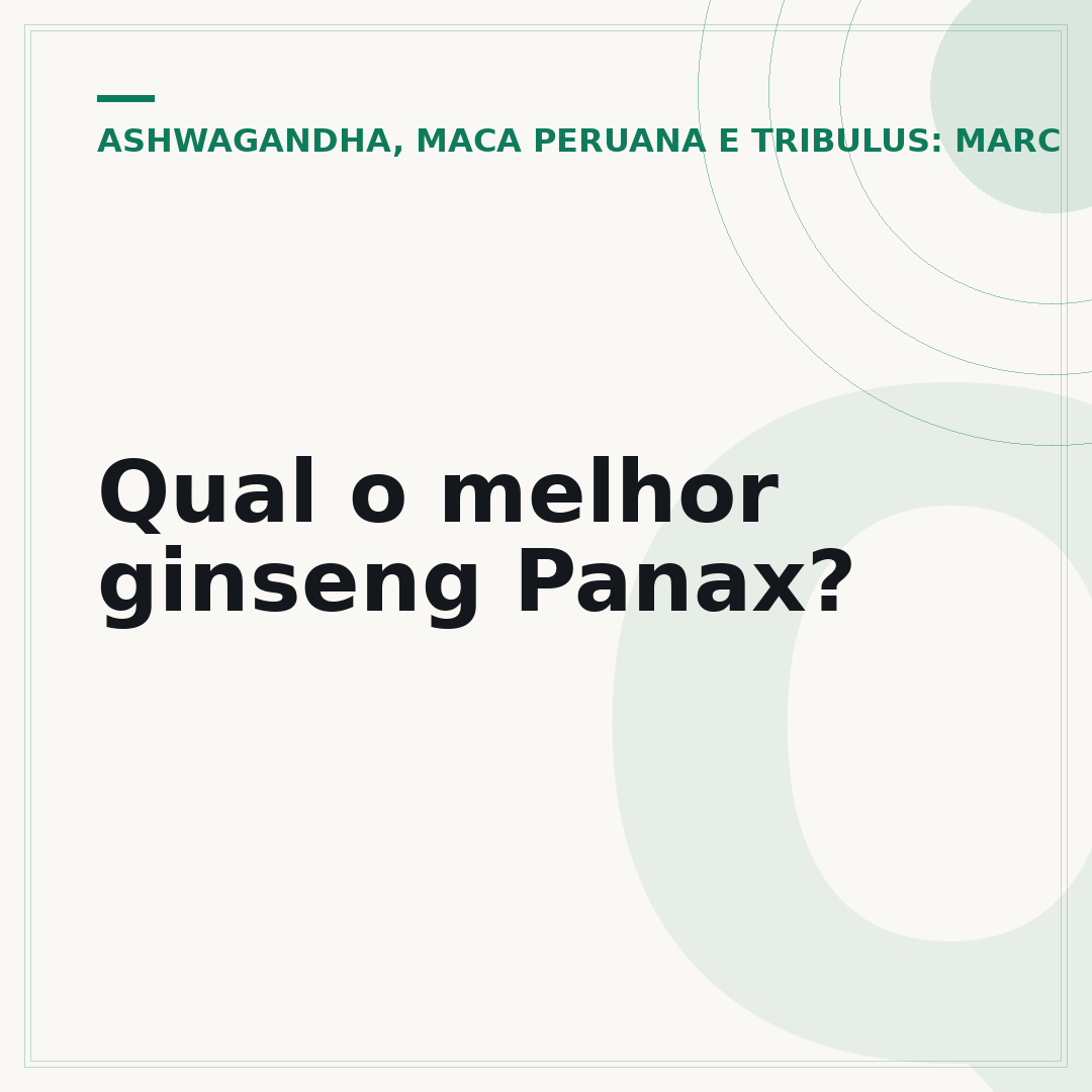 Qual o melhor ginseng Panax?