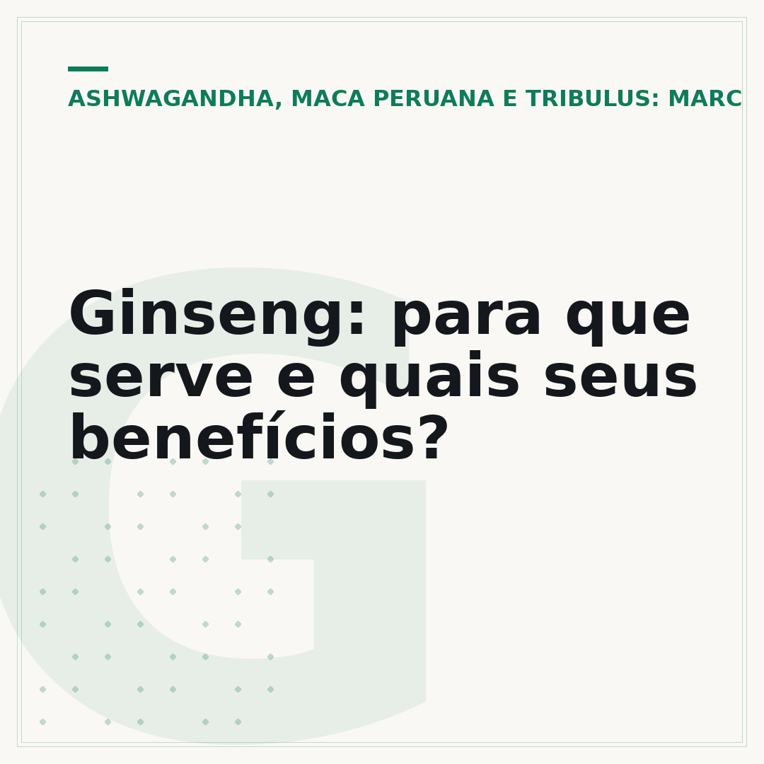 Ginseng: para que serve e quais seus benefícios?