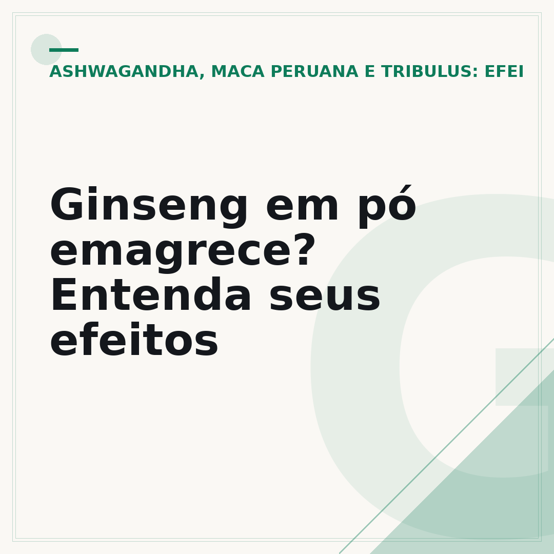 Ginseng em pó emagrece? Entenda seus efeitos
