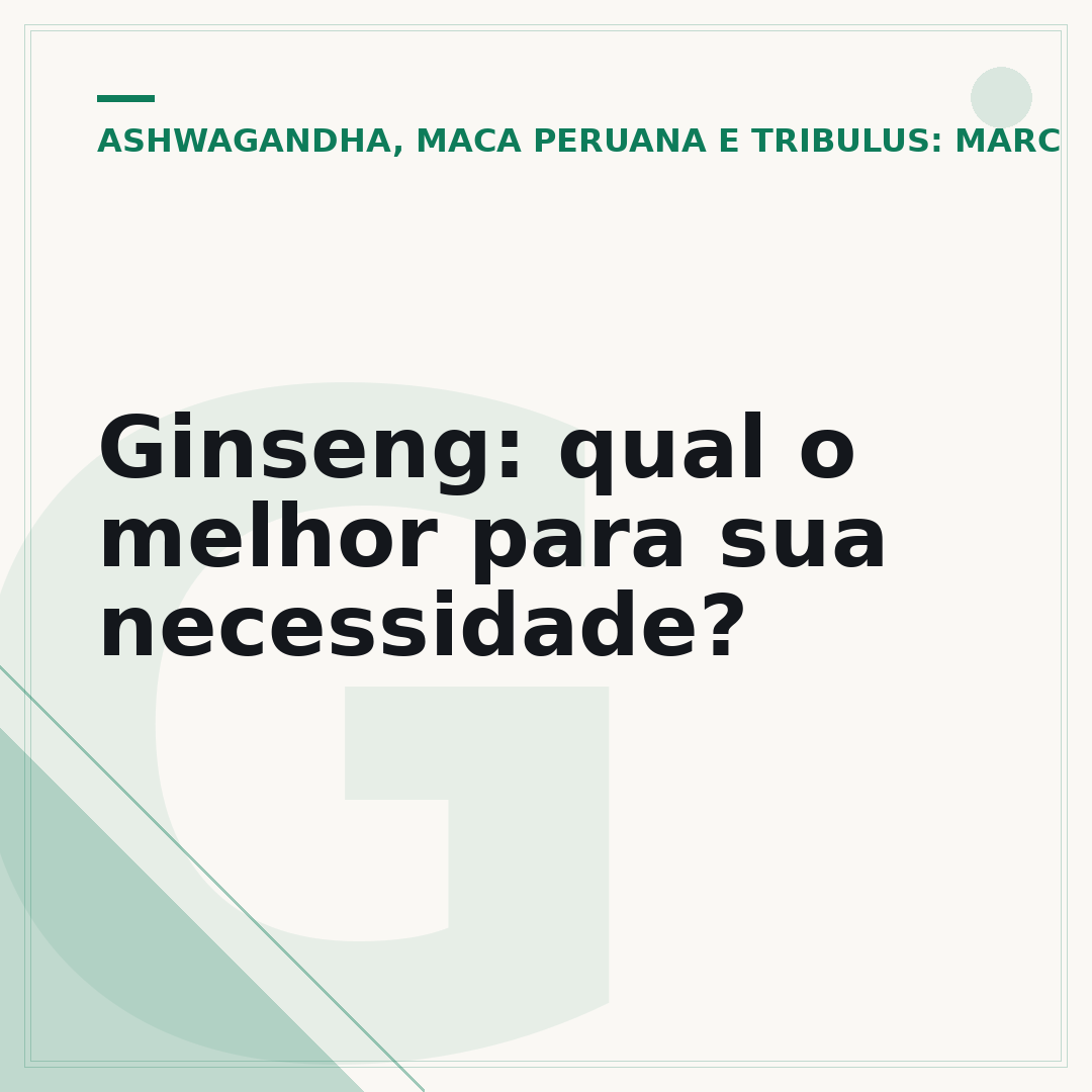 Ginseng: qual o melhor para sua necessidade?